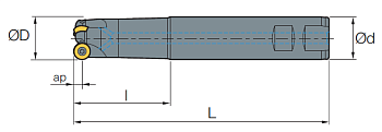 MSRD_RD_12