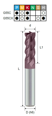 EPSSH4_G55C EPSSH4_G55C