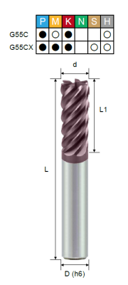 EPSSH6_G55C EPSSH6_G55C