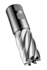 Фреза концевая HSS-E PM C2471 DormerPramet — фото