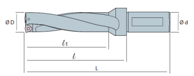 Сверло корпусное со сменными пластинами SW5D420-08 Sangeo — фото
